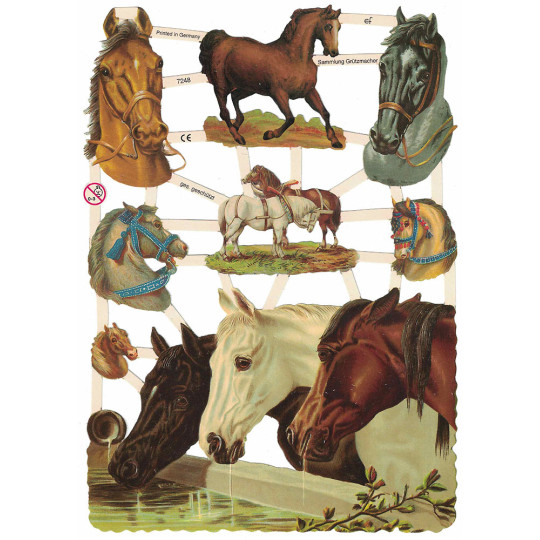 Mixed Horses Scraps ~ Germany